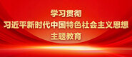 黄片操逼链接学习贯彻习近平新时代中国特色社会主义思想主题教育_fororder_ad-371X160(2)